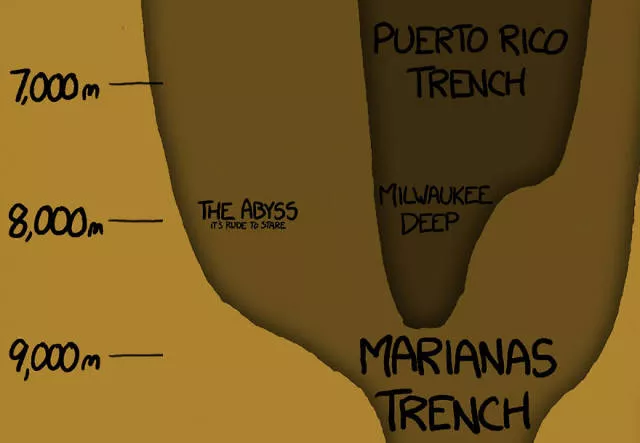 Some facts about oceans - #7 