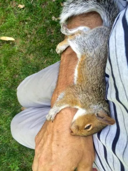 A nice compilation of humans with animals - #12 