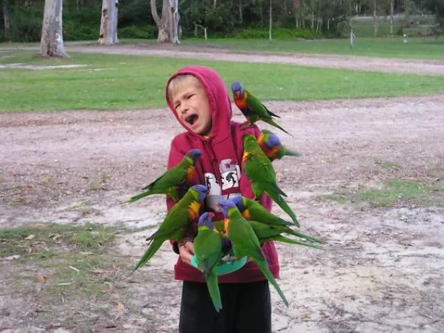 A nice compilation of humans with animals - #17 