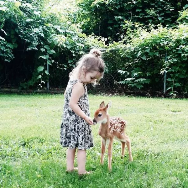 A nice compilation of humans with animals - #2 