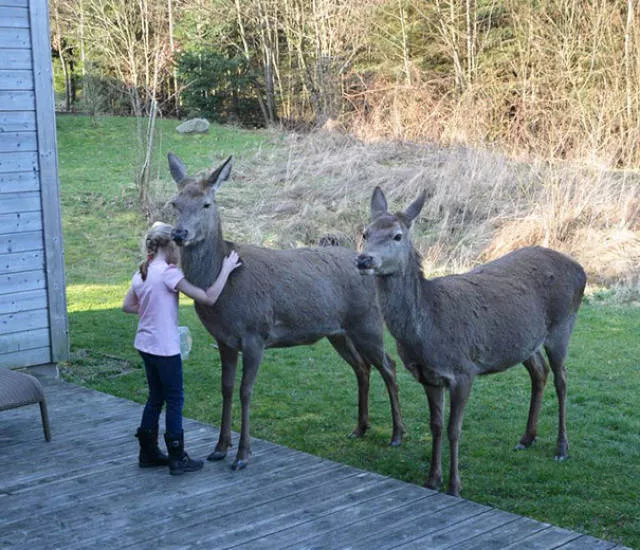 A nice compilation of humans with animals - #25 