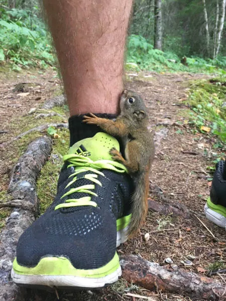 A nice compilation of humans with animals - #26 
