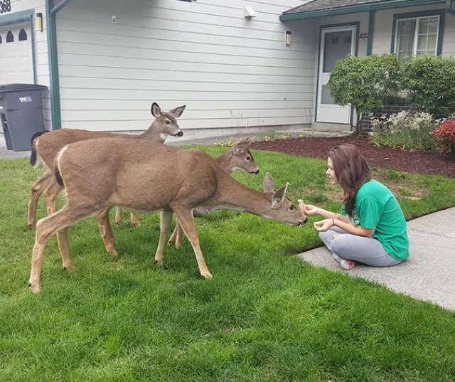A nice compilation of humans with animals - #30 