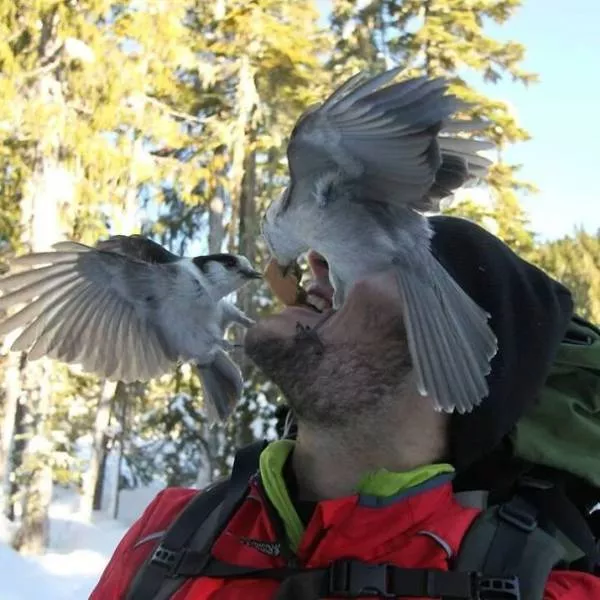 A nice compilation of humans with animals - #36 