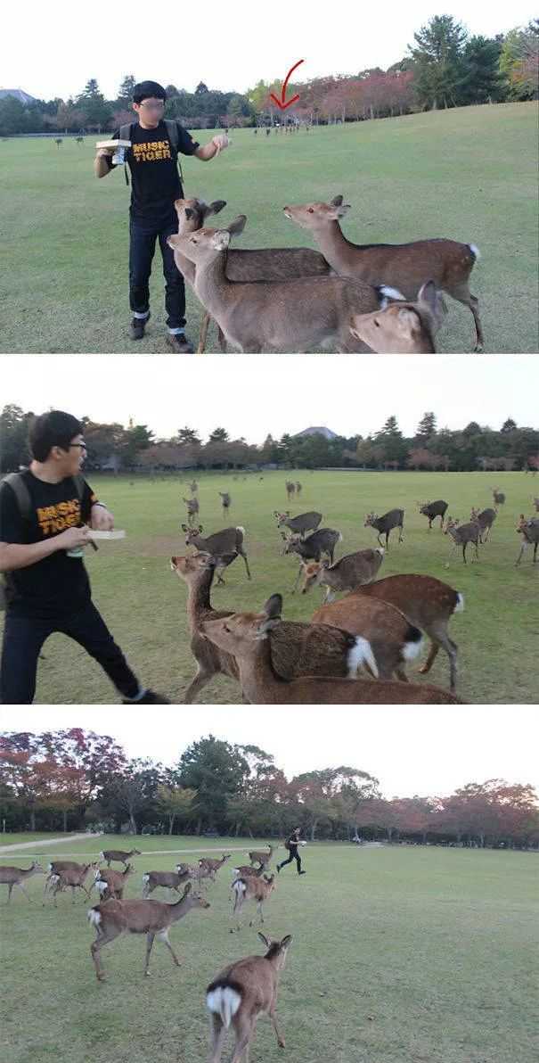 A nice compilation of humans with animals - #7 