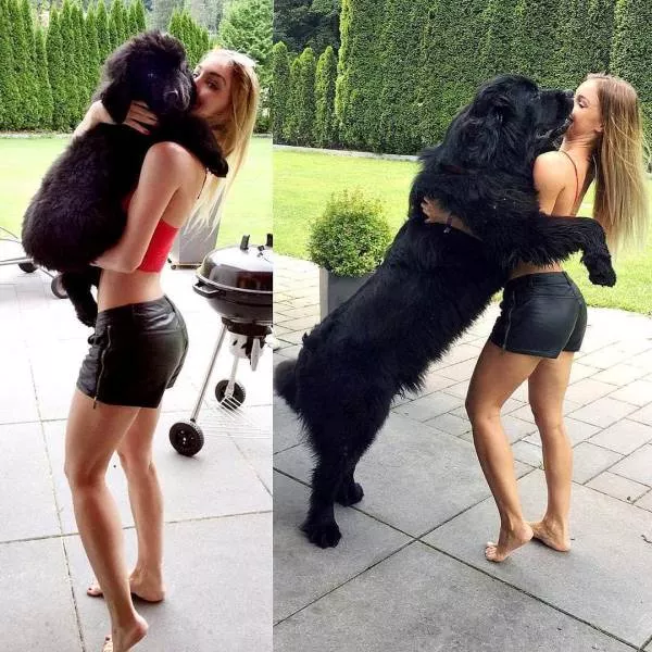 Picdump 328