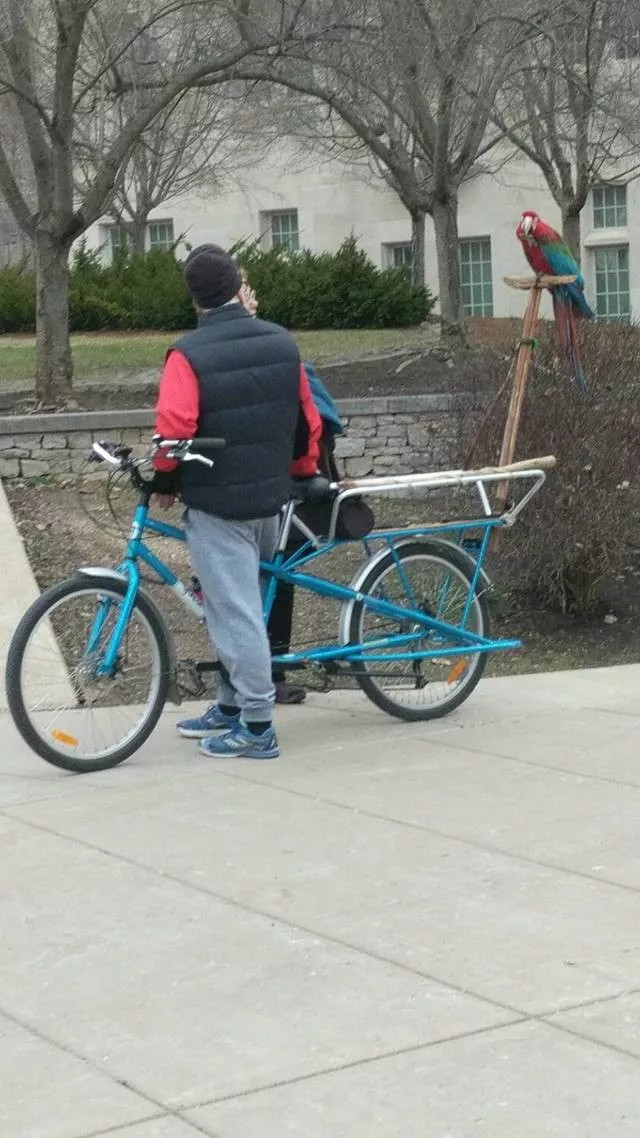 Picdump 328 - #49 