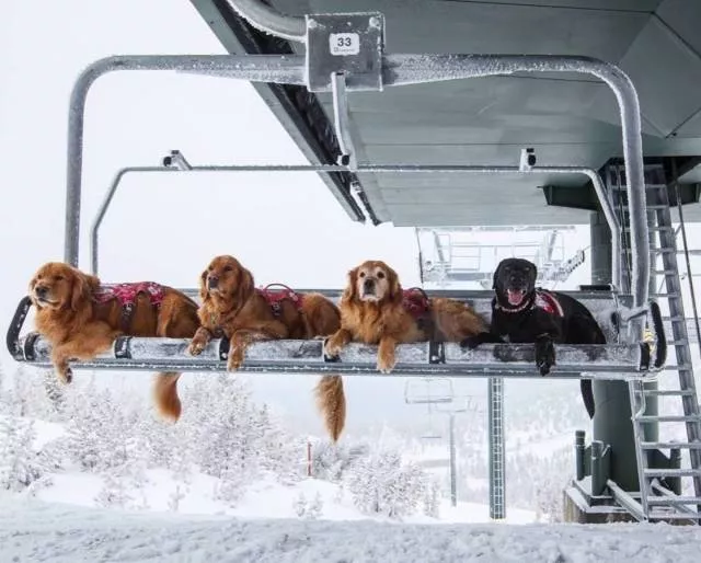 Picdump 328 - #50 