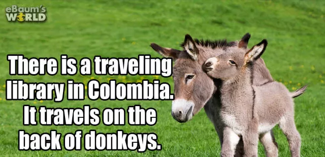 Boost your general knowledge - #14 