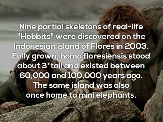 Boost your general knowledge - #49 