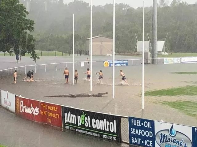 Picdump 329 - #3 