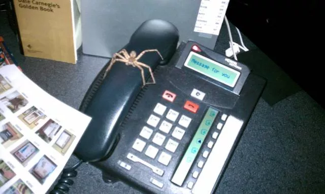 Picdump 329 - #40 