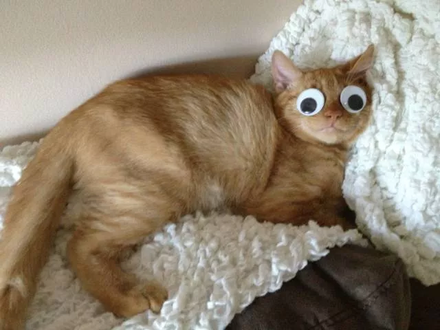 Picdump 329 - #51 