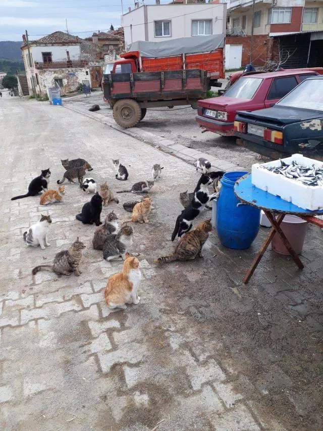 Picdump 329 - #55 