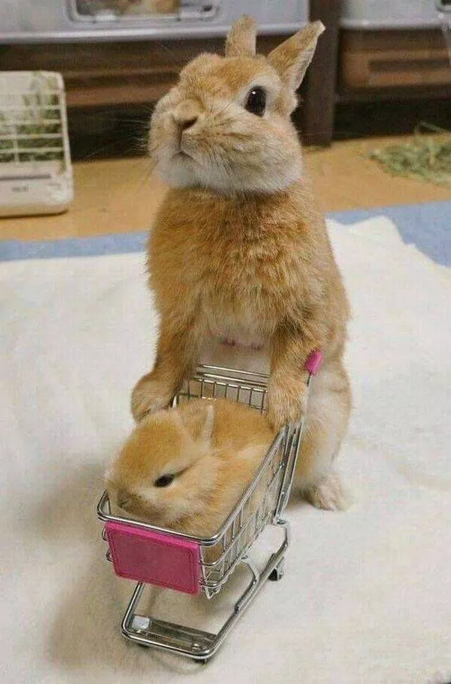 Picdump 329 - #58 