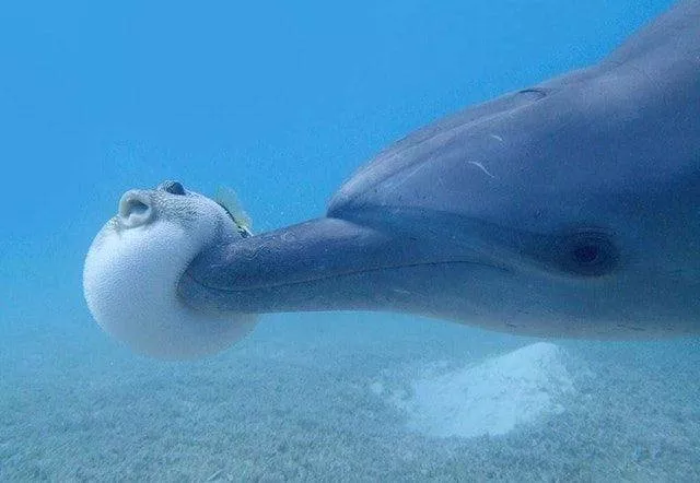 Picdump 329 - #62 