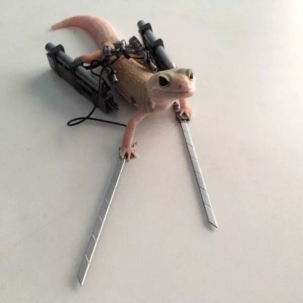 Picdump 329 - #90 