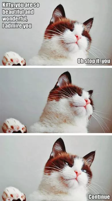 Picdump 330 - #39 
