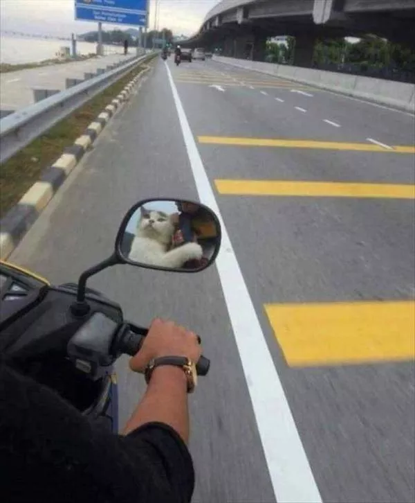 Picdump 331 - #22 