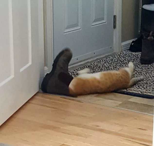 Picdump 331 - #30 