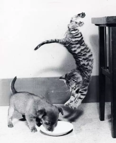 Just before the disaster - #16 