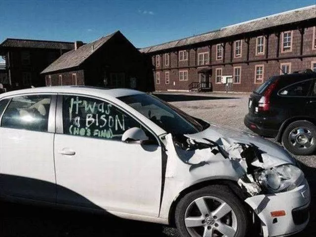 Picdump 332 - #13 