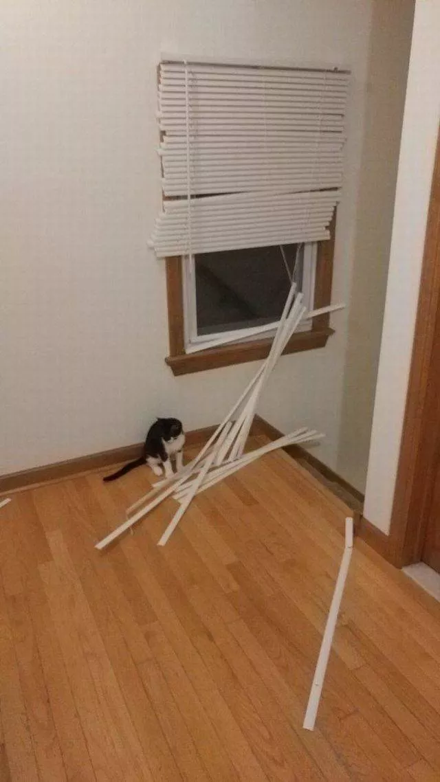 Picdump 332 - #14 