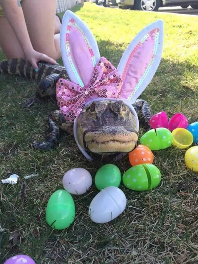 Picdump 332 - #16 