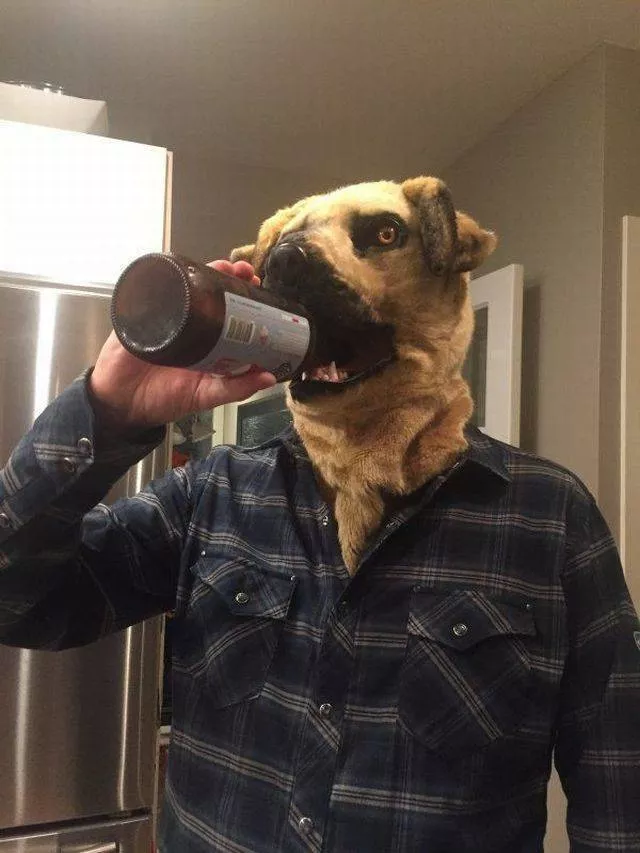 Picdump 332 - #21 