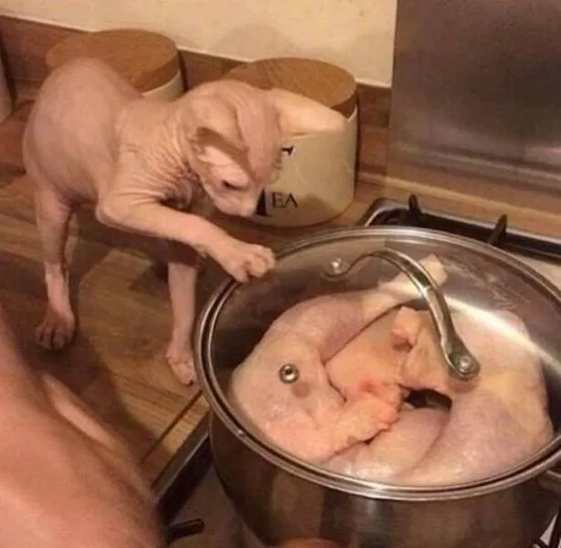 Picdump 332 - #37 
