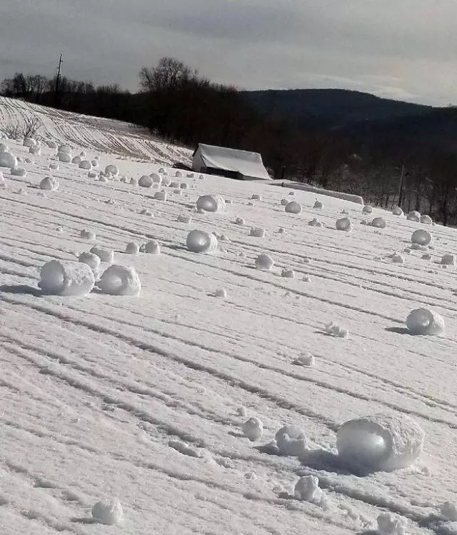Picdump 332 - #51 