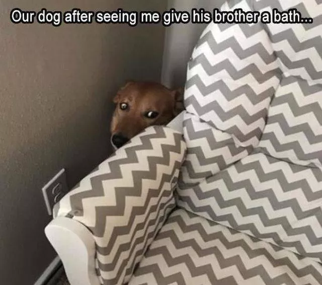 Picdump 332 - #63 