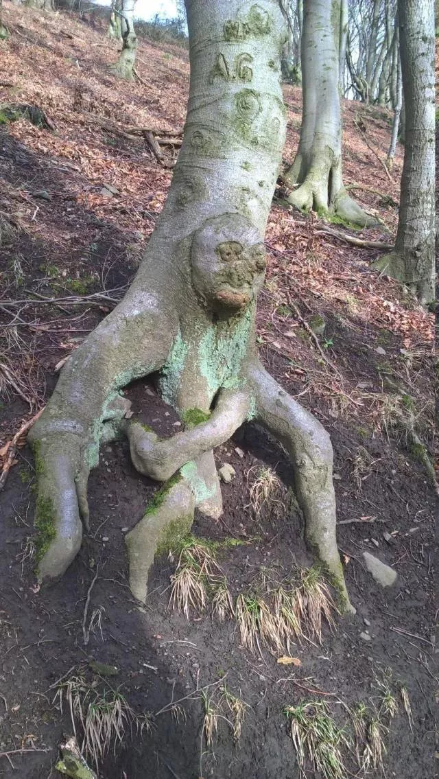 Picdump 332 - #88 