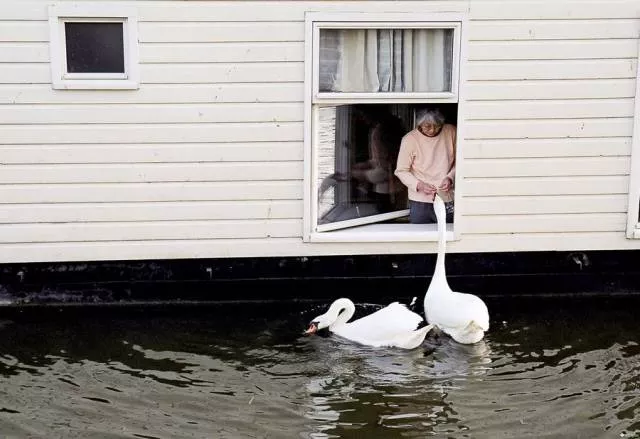 Picdump 63 - #15 