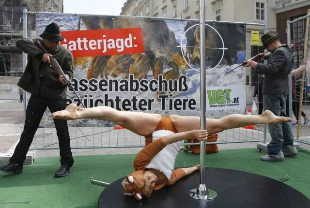 Picdump 63 - #35 