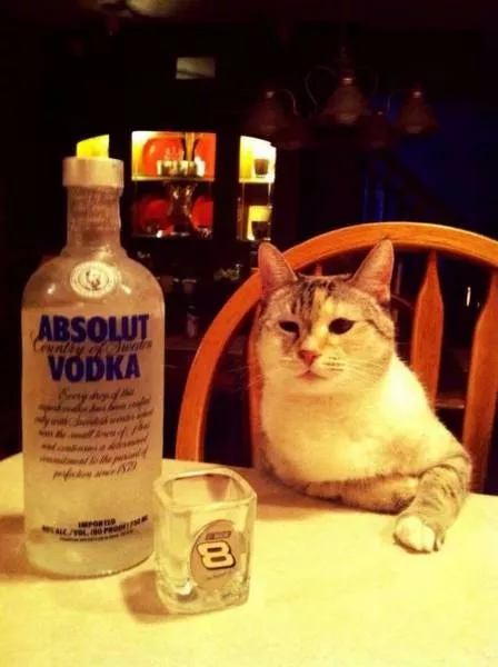 Picdump 63 - #45 