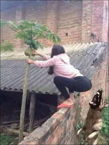 Picdump 63 - #46 