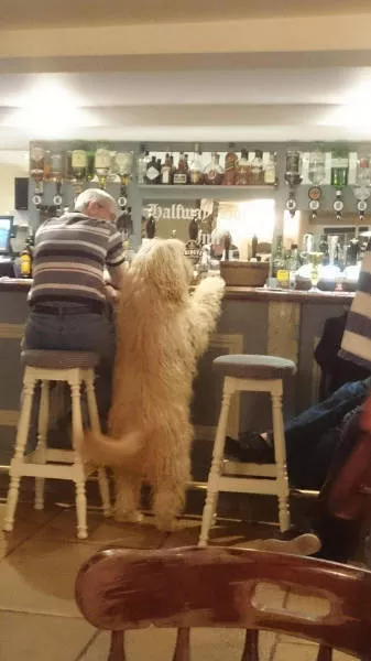 Picdump 334 - #31 