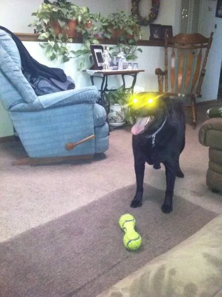 Picdump 334 - #33 