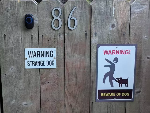 Picdump 334 - #37 