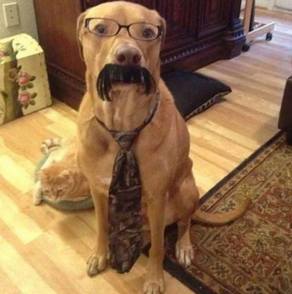 Picdump 334 - #8 