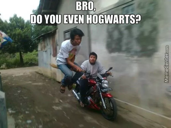 Picdump 335 - #47 