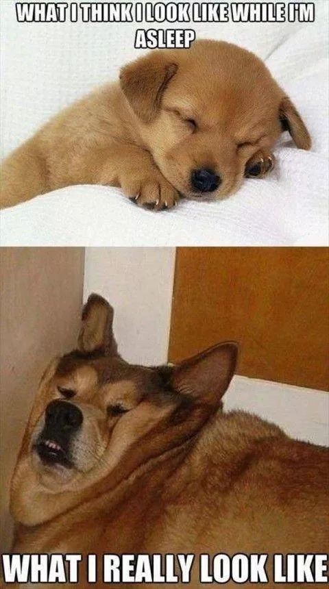 Picdump 335 - #7 