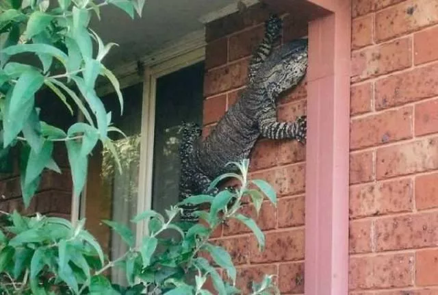 Welcome to australia - #21 