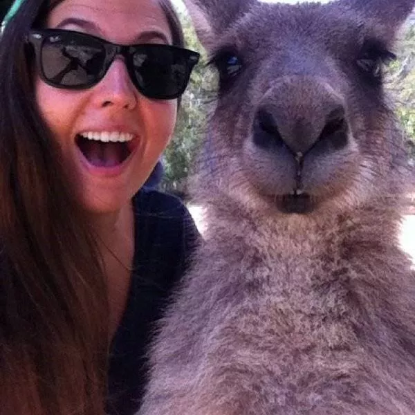 Bienvenue en australie