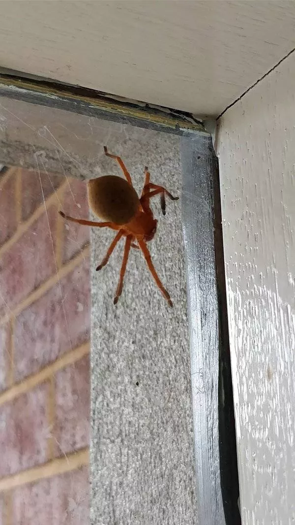 Welcome to australia - #3 