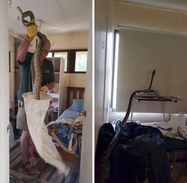 Welcome to australia - #9 