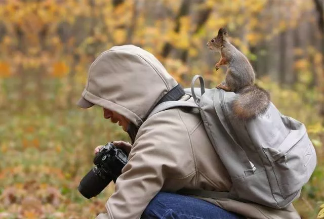 Picdump 336 - #12 