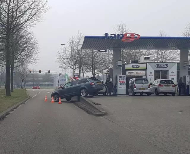 Picdump 336 - #31 