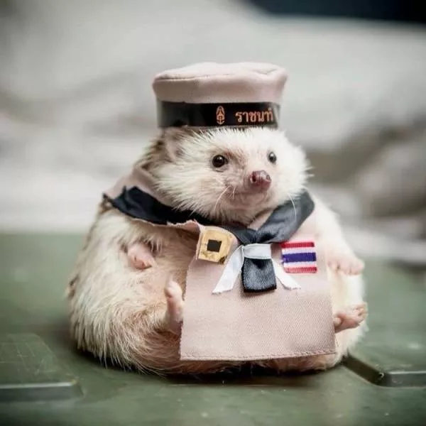 Picdump 336 - #83 